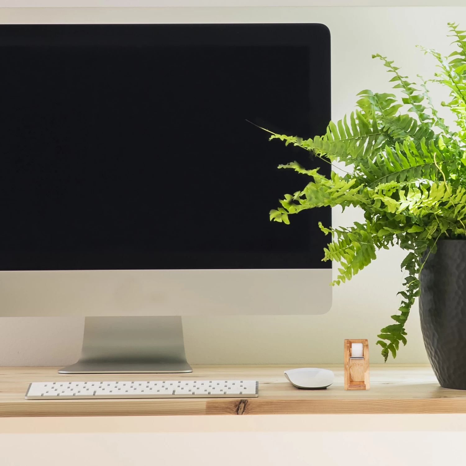 Tischabroller FĂŒr 25mm Klebestreifen In Natur â Bild 3